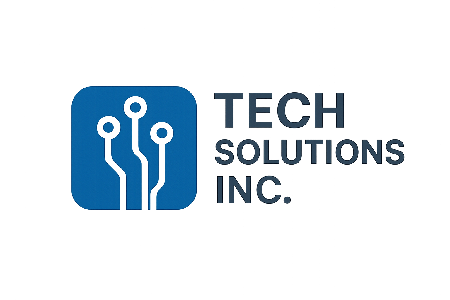 Tech Solutions Inc.